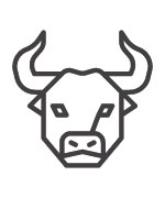 Logo for Silver Bull Fitness