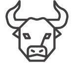 Logo for Silver Bull Fitness